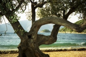 Ithaque, plage d'Ulysse